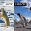 Travel. Arctic-Antarctic