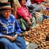Travel. South America